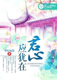 君心何处
