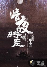 暗夜将至结局